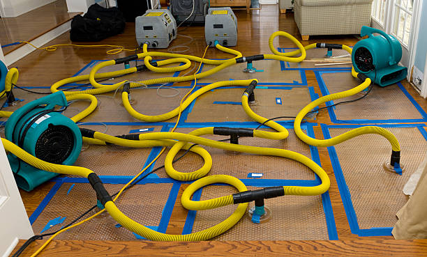 Professional Water Damage Restoration technician working in Douglas, MA